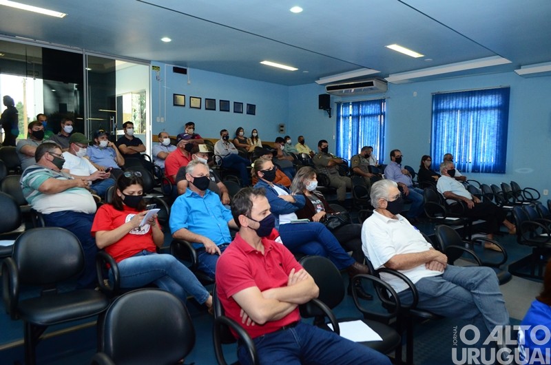 Morte de abelhas preocupa apicultores de Erval Seco