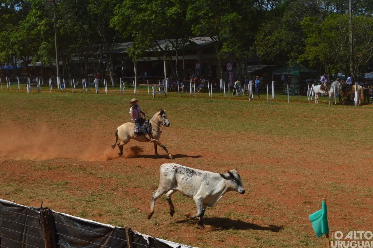 Rodeio Crioulo Interestadual de Seberi encerra neste domingo
