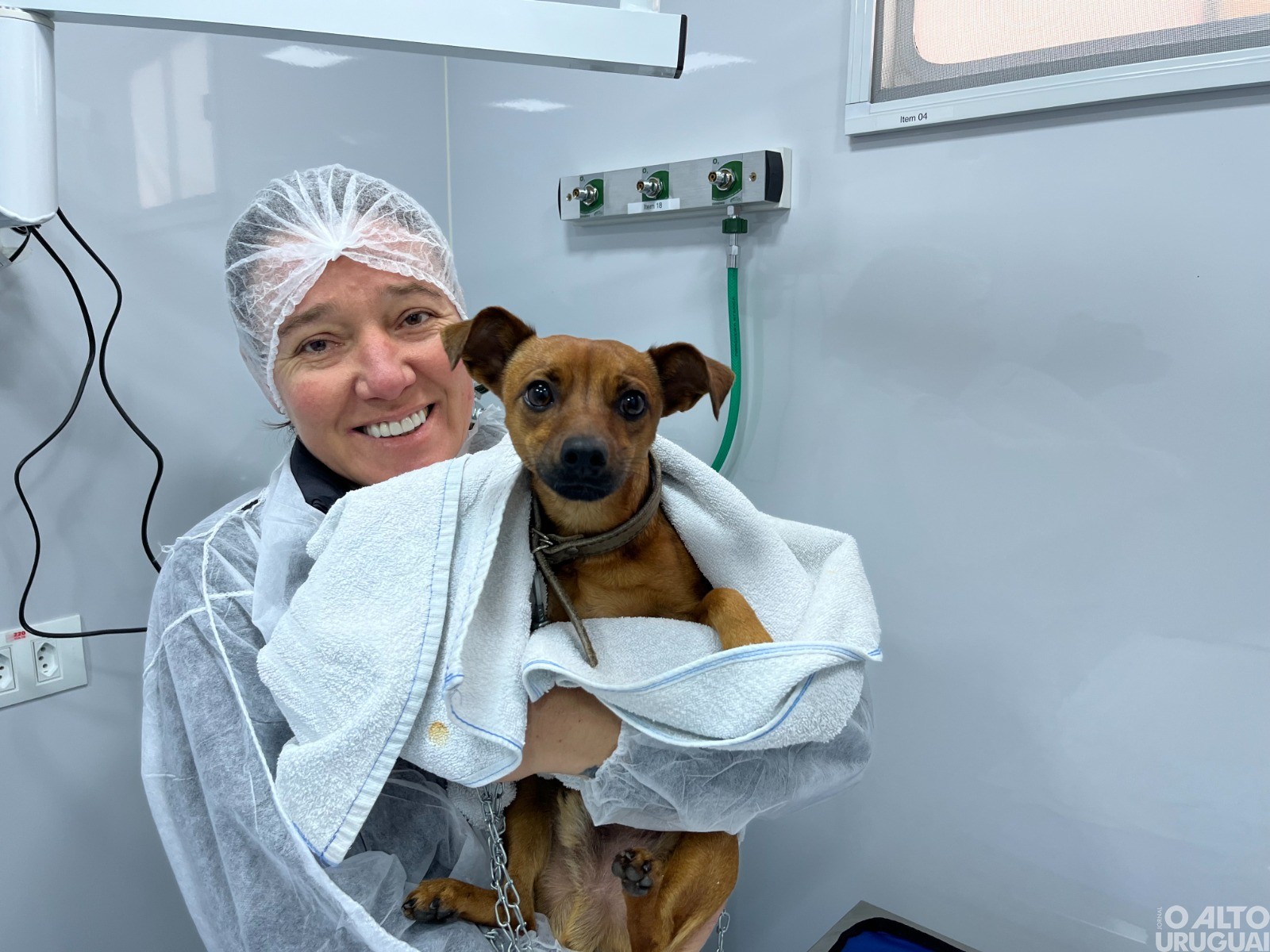 Castramóvel e Consultório Veterinário iniciam atendimentos em FW