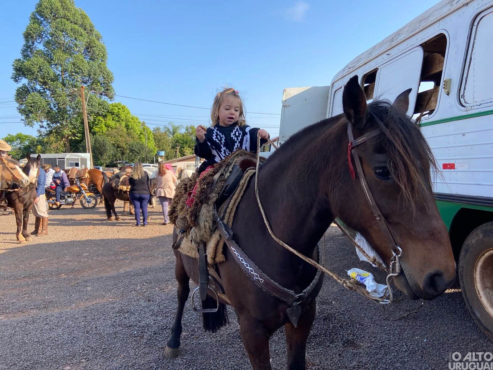 Cavalgada da Mulher Campeira é realizada em Seberi