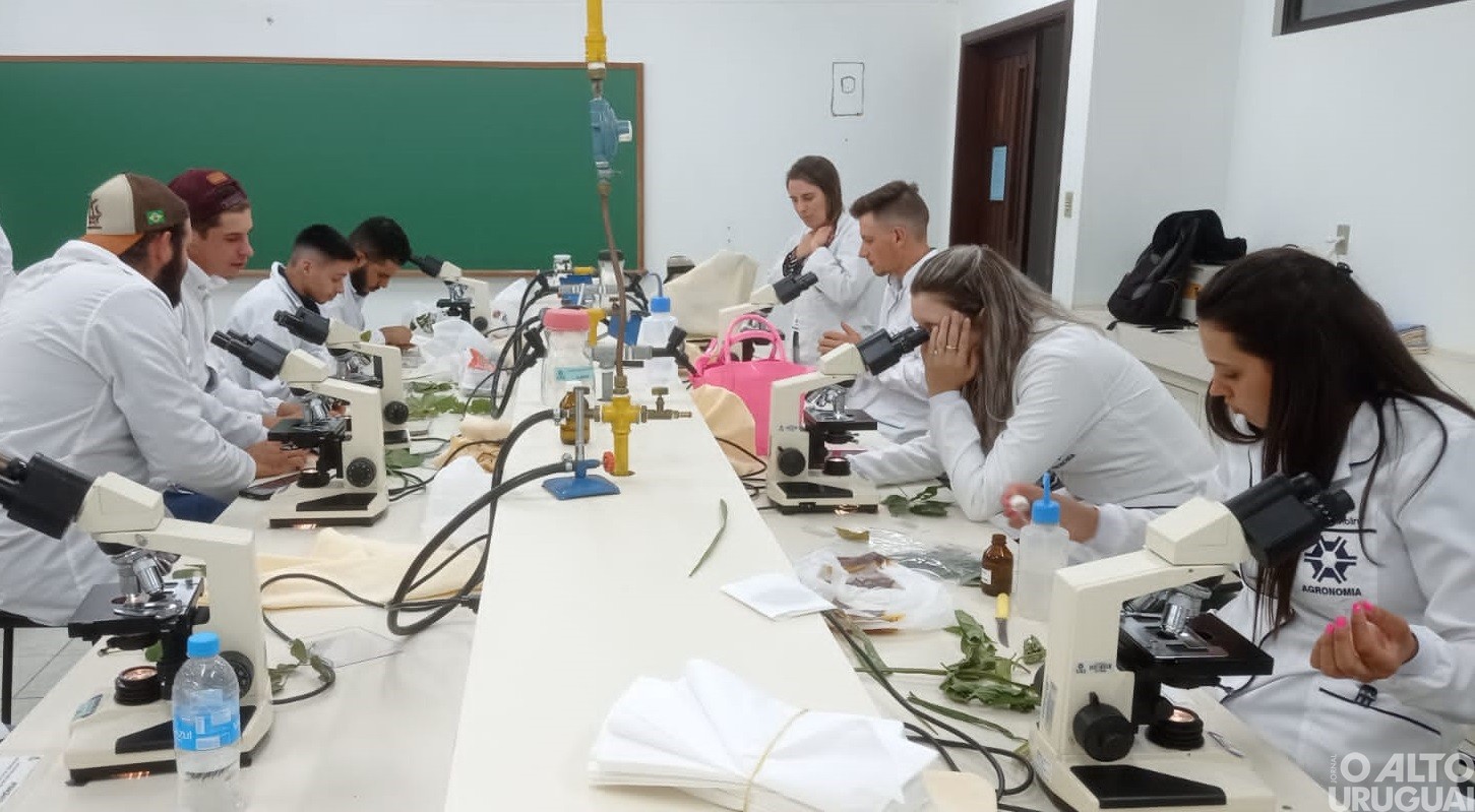 Agronomia: curso forma profissionais para sucessão rural e desenvolvimento regional