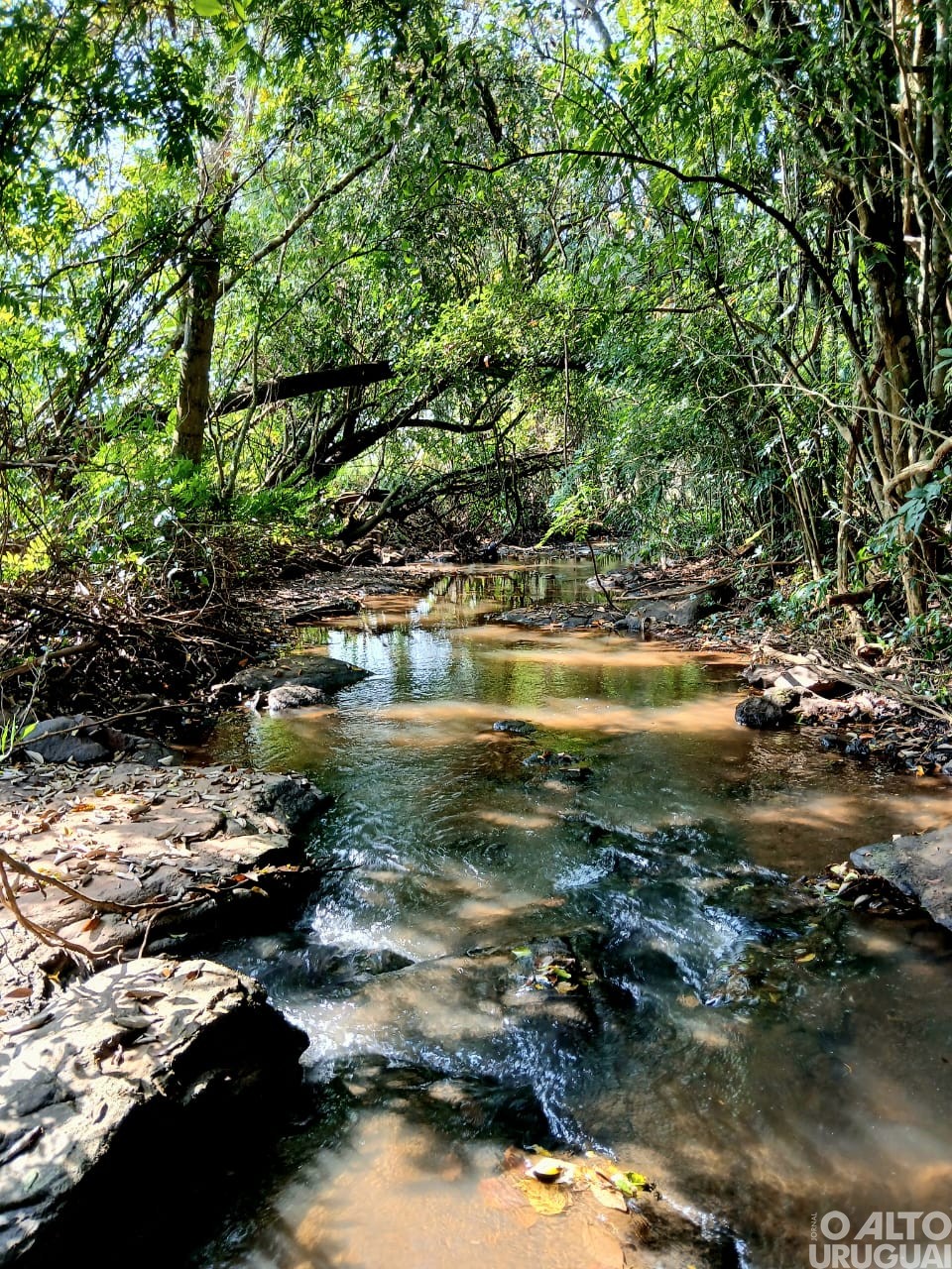 Estudantes do Ensino Fundamental participam da 6ª edição do Concurso Fotográfico de Novo Tiradentes