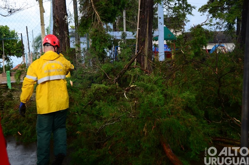Vendaval causa estragos em Caiçara