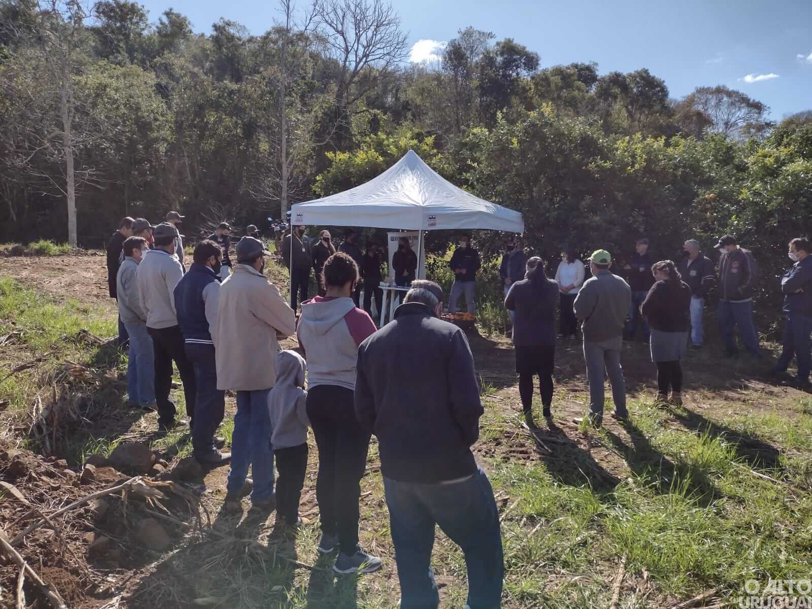 Rodeio Bonito: viabilidade da cultura da laranja é tema de Tarde de Campo