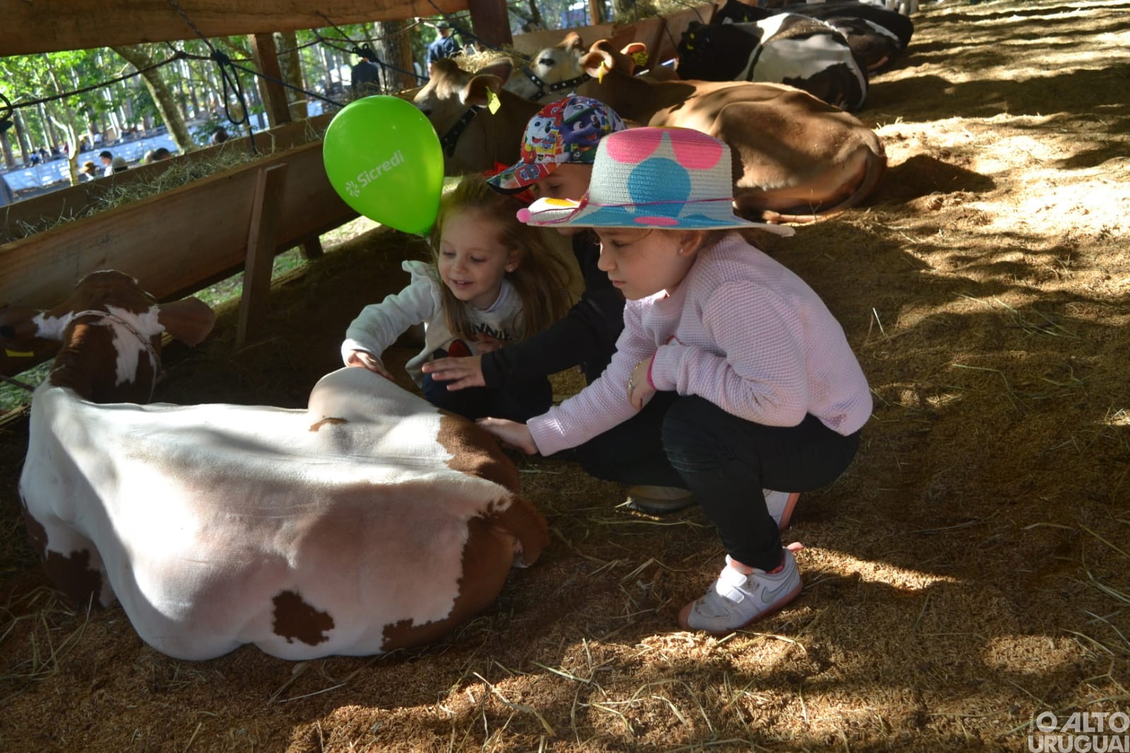 Boa Vista das Missões: Rodeio Crioulo reúne grande número de tradicionalistas