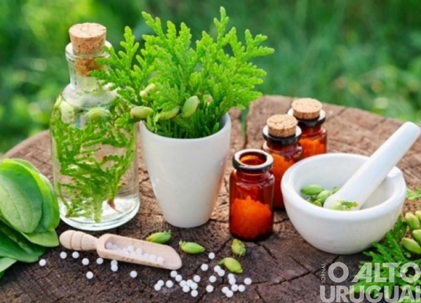 Reunião estadual sobre Plantas Bioativas inicia nesta terça-feira