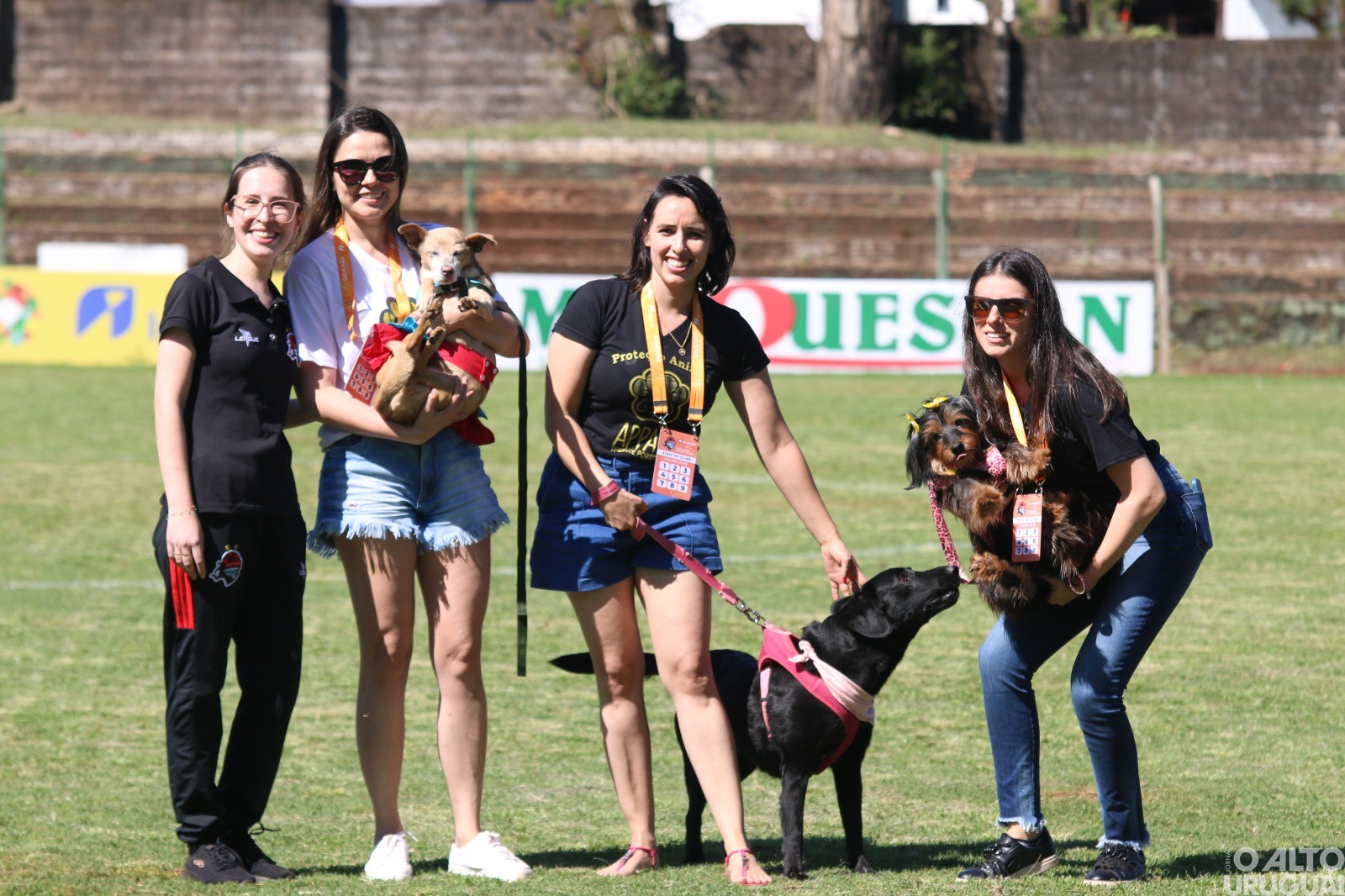 Equipe das Gurias do Yucumã realiza ação em prol dos animais