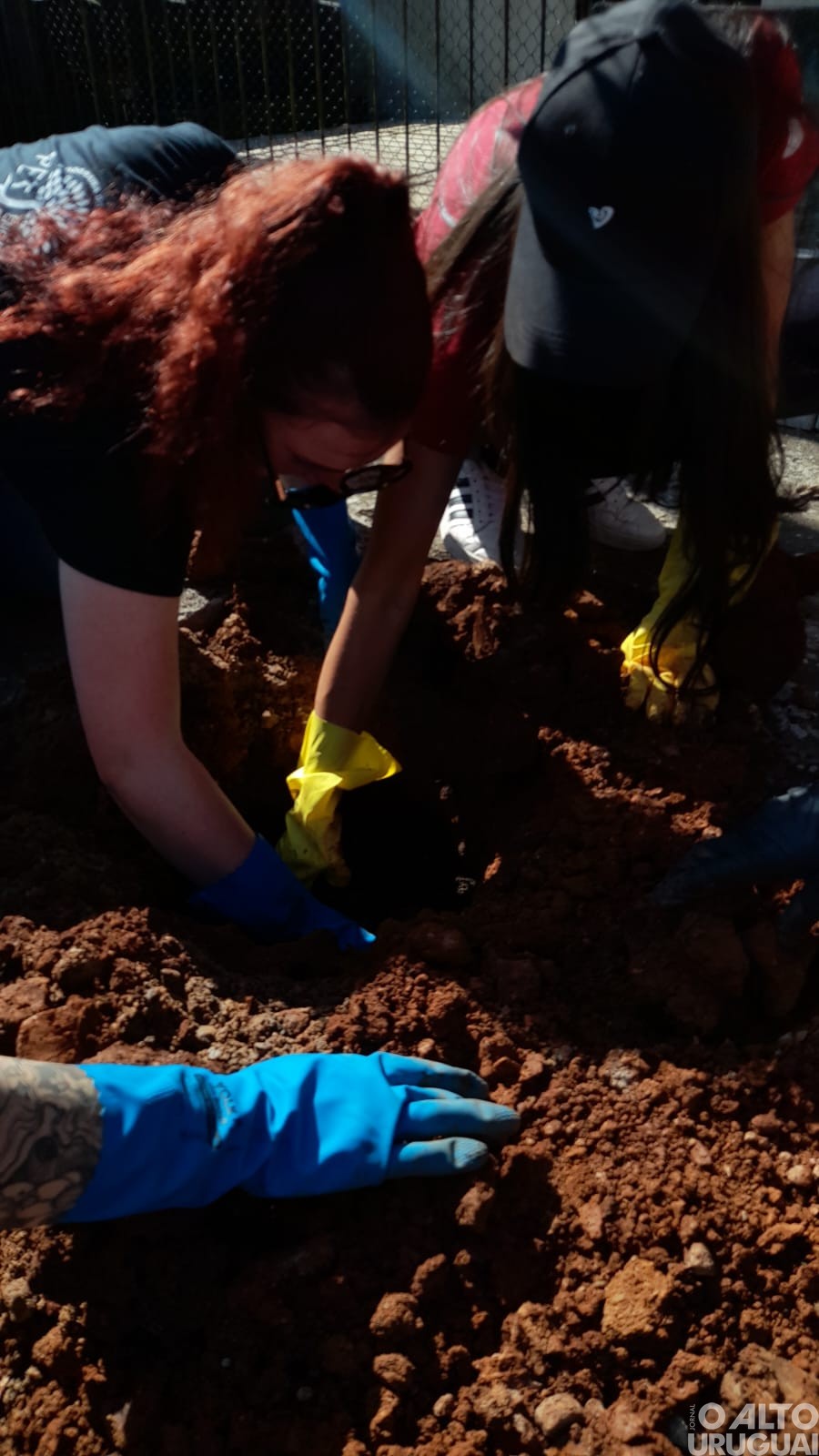 Centro Cultural 25 de Julho realiza projeto de arborização em FW