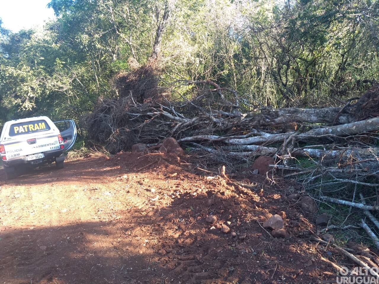 Crime ambiental é registrado no interior de Iraí