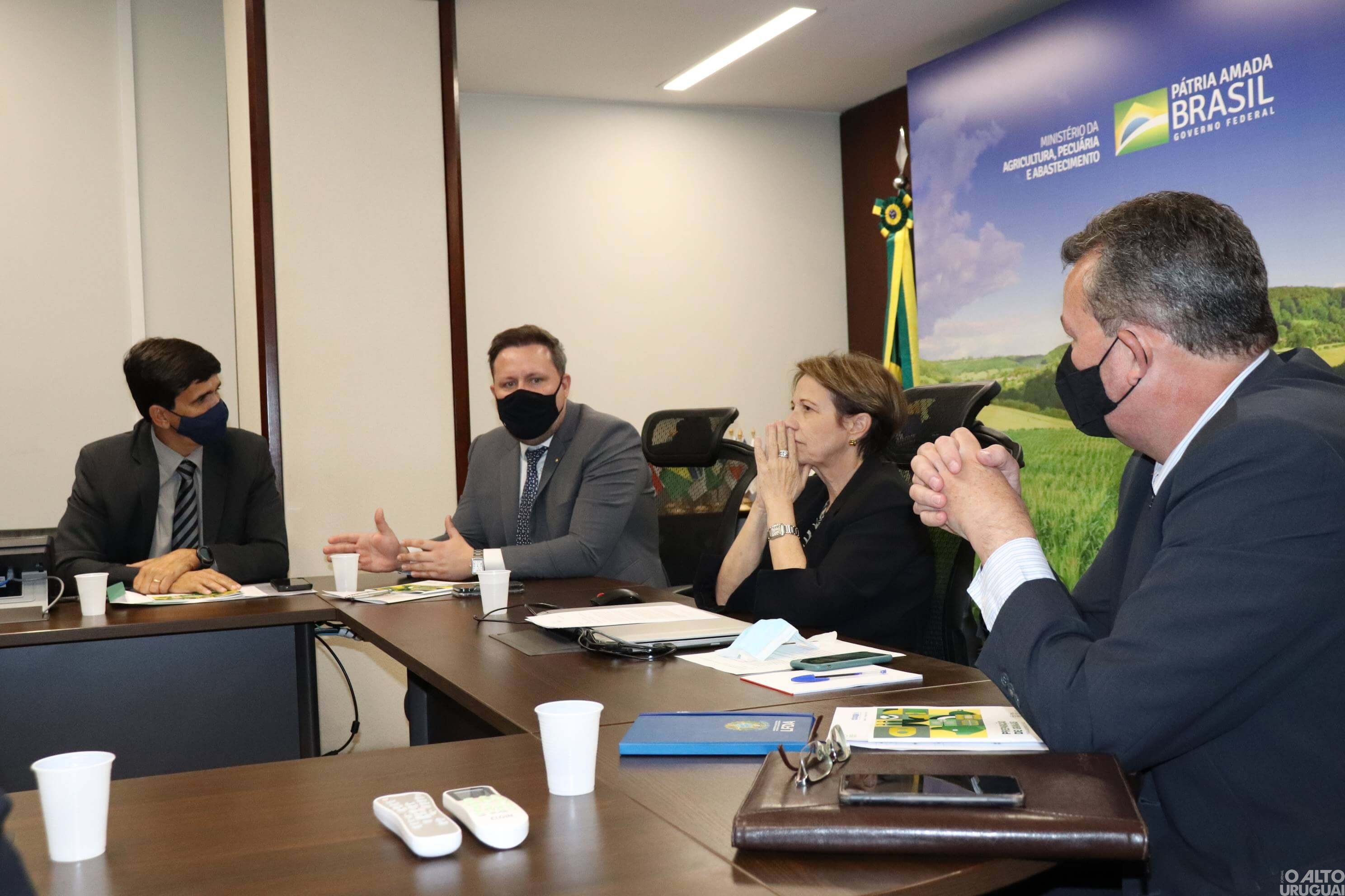 Governo federal deverá isentar tributação para a importação do milho