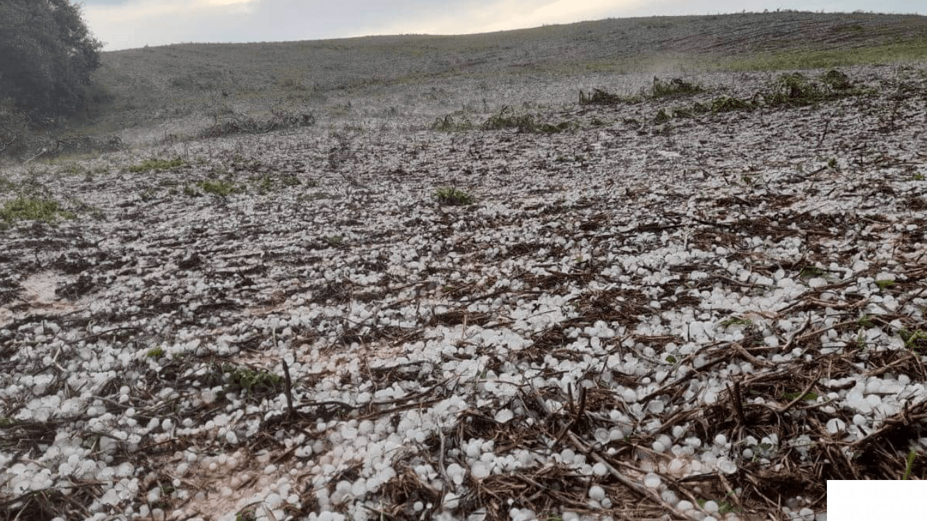 Temporais causam destruição no Norte do Rio Grande do Sul
