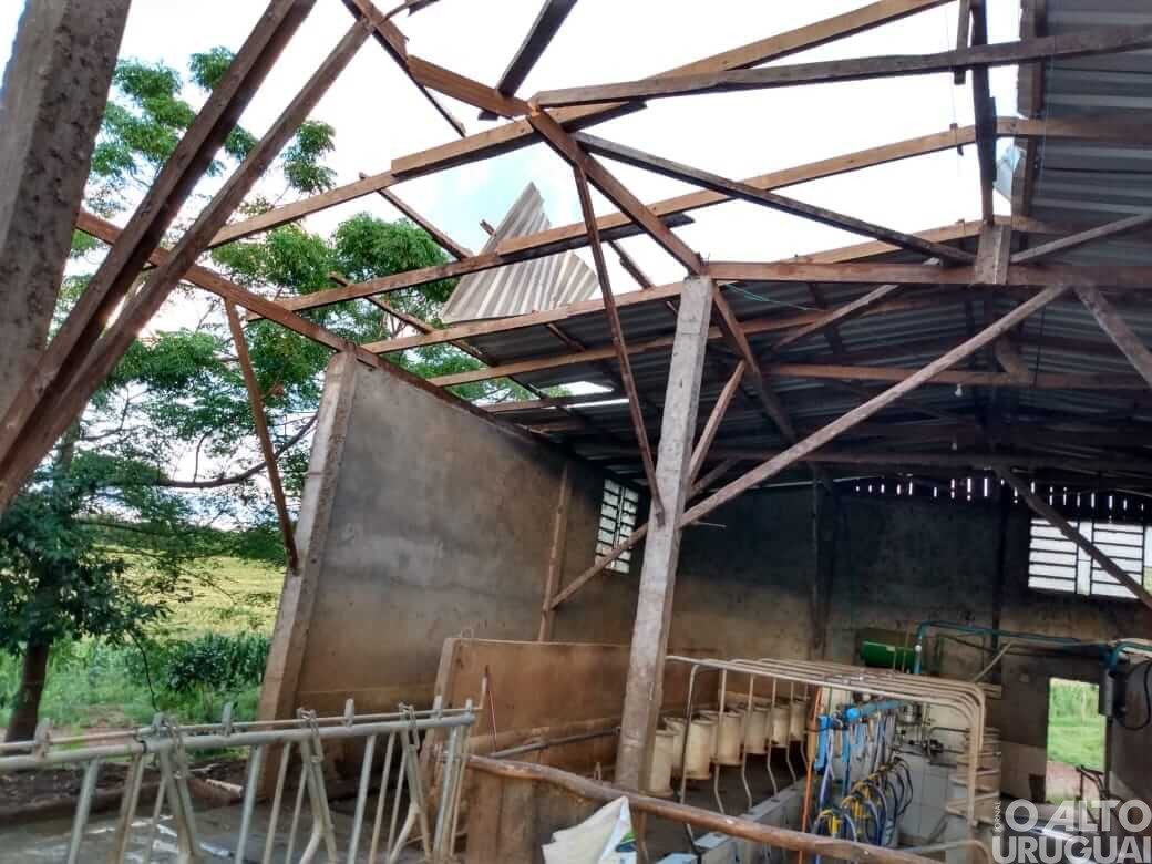 Ventos fortes causam estragos na região