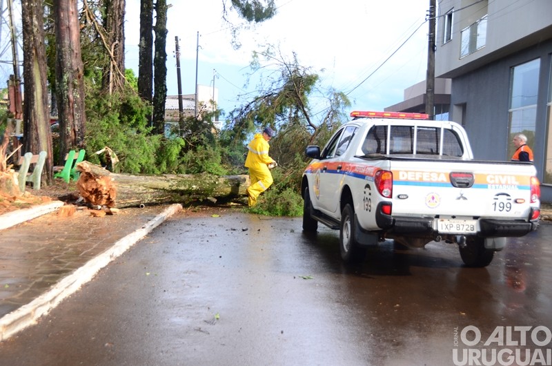 Vendaval causa estragos em Caiçara