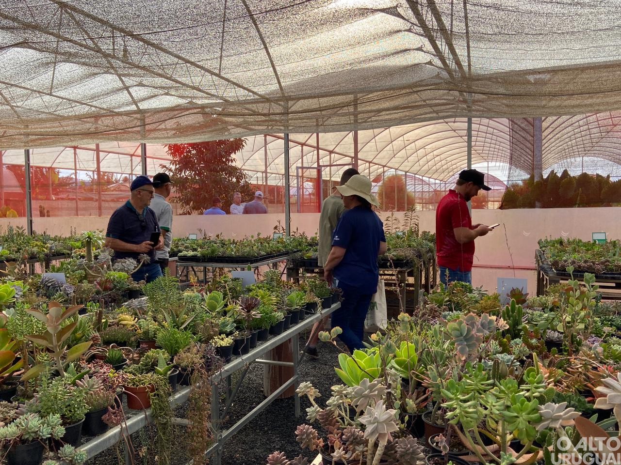 Visitas técnicas do STR iniciam em propriedades de hortifruti