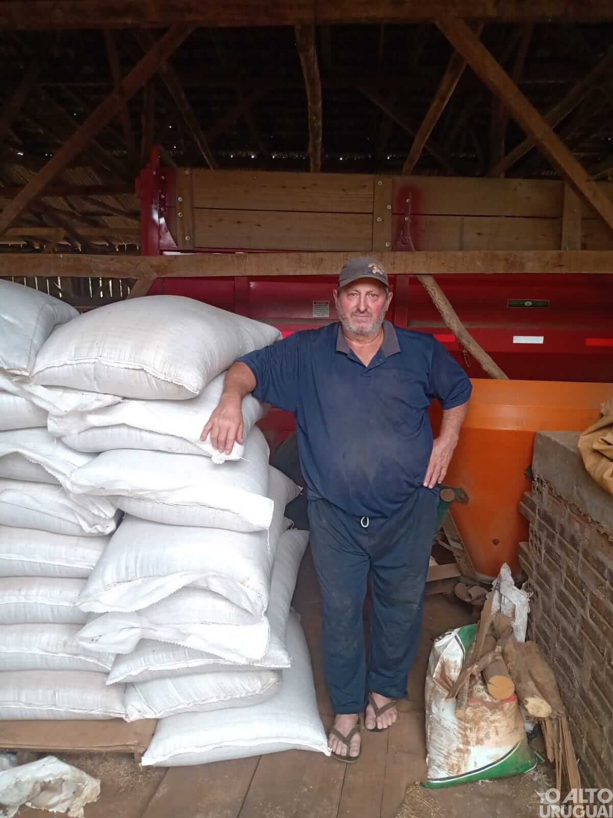 Agricultores de Vista Alegre são beneficiados com sementes de pastagens de inverno