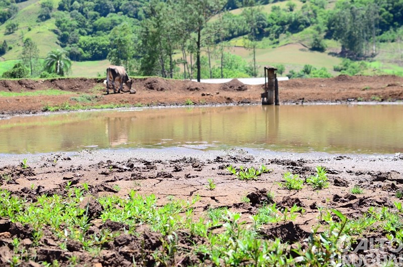 Metade dos municípios em situação de emergência no RS é da região