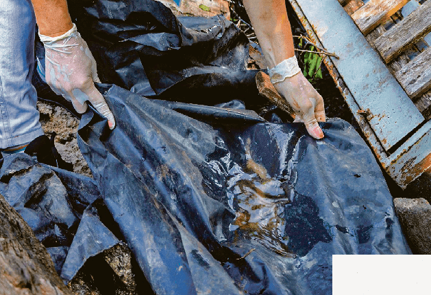 Vigilância alerta para casos suspeitos de dengue em Vista Alegre