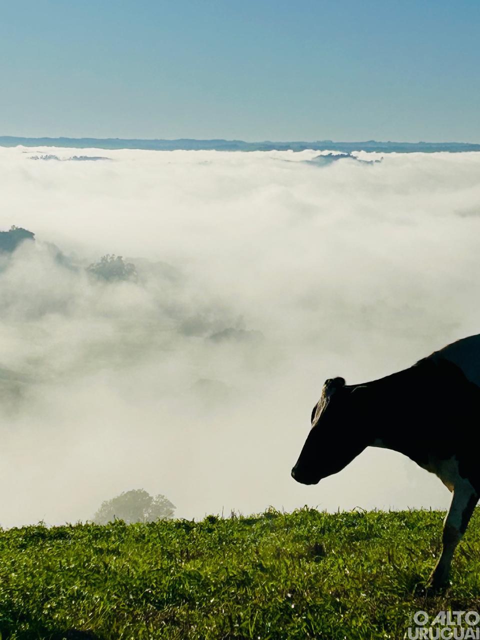 Estudantes do Ensino Fundamental participam da 6ª edição do Concurso Fotográfico de Novo Tiradentes