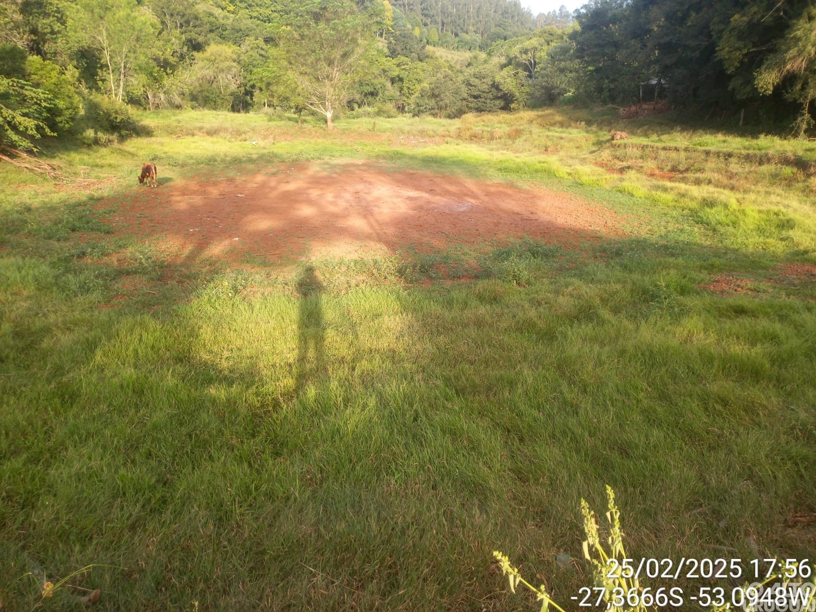 Planalto decreta emergência em virtude da estiagem