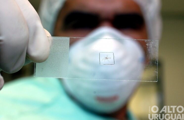 Chega a 59 o número de óbitos por dengue no RS