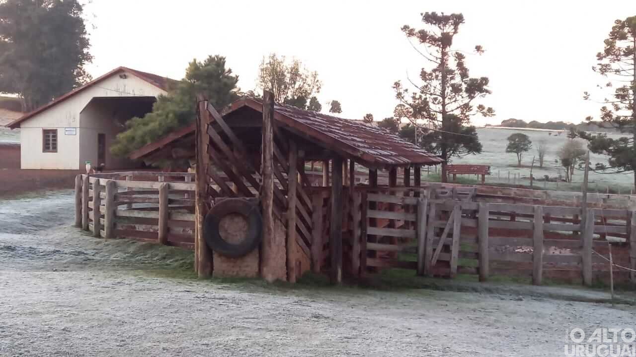 Leitores do AU registram geada na região
