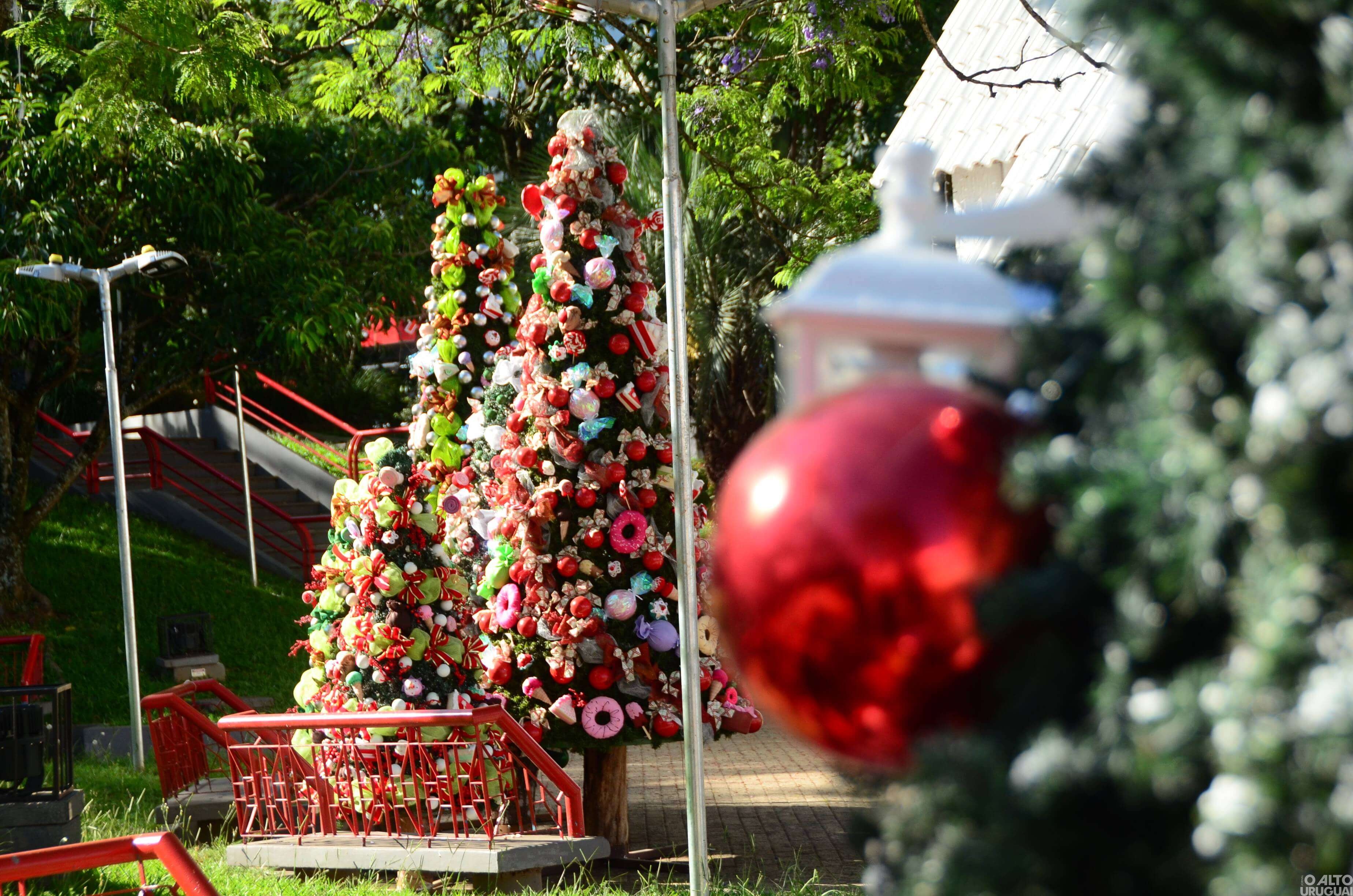Frederico em Luz: inicia a instalação das ornamentações