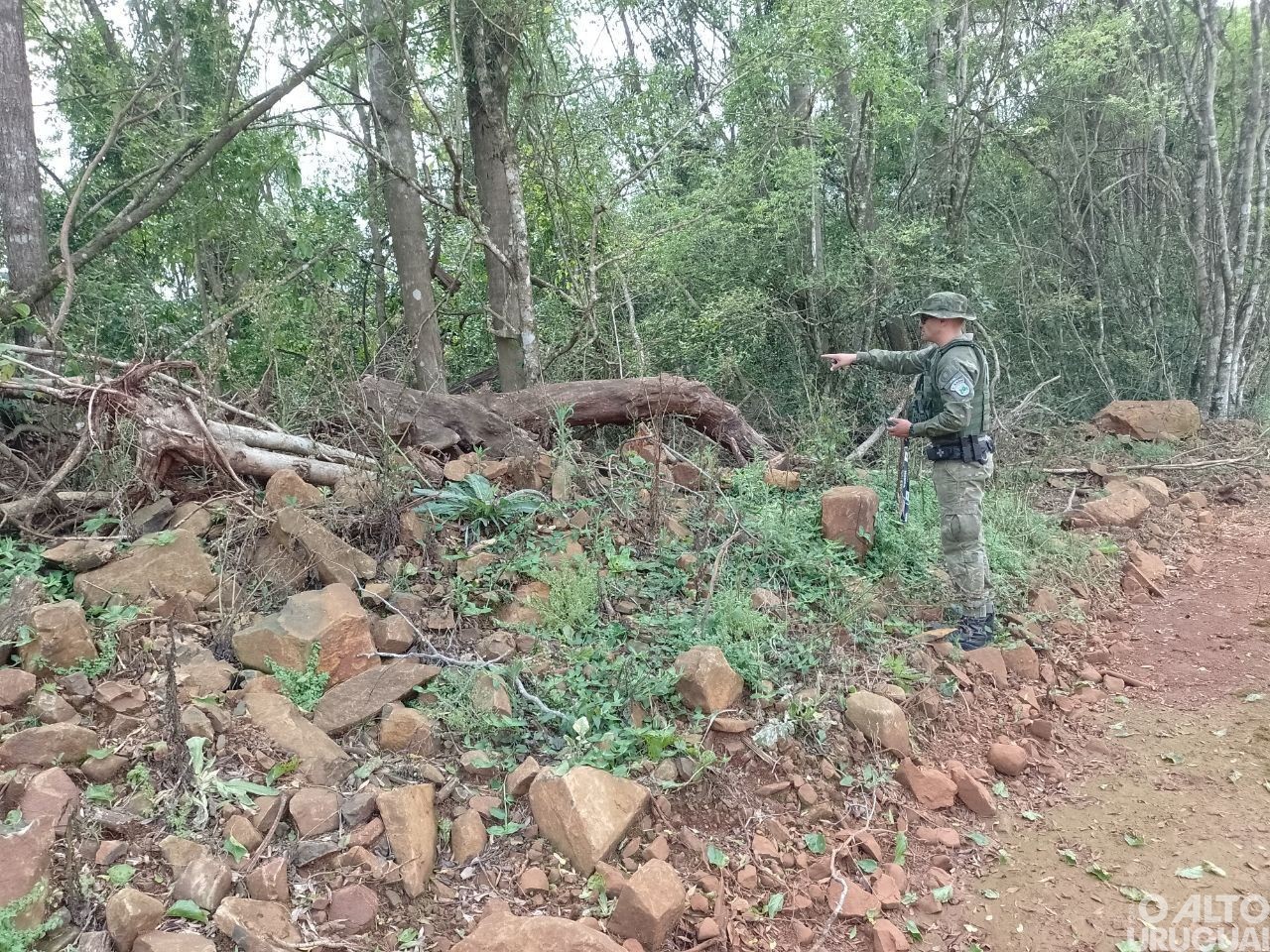 BM constata destruição de vegetação nativa em Planalto
