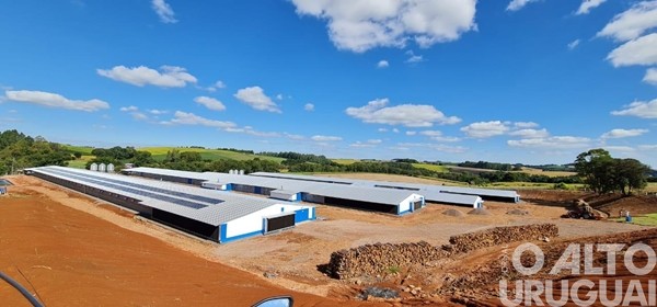 70% das granjas da Seara já utilizam energia solar