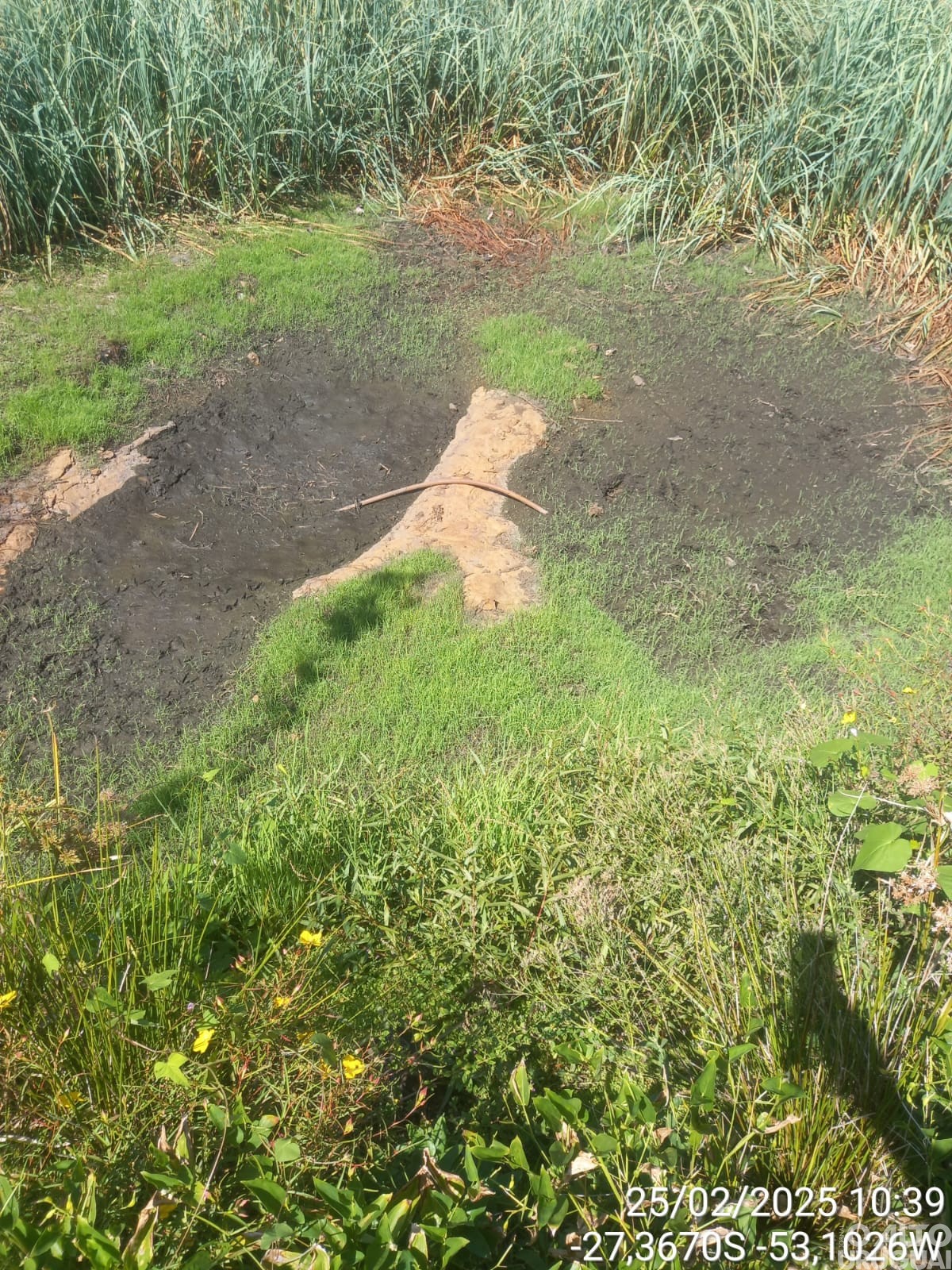 Planalto decreta emergência em virtude da estiagem