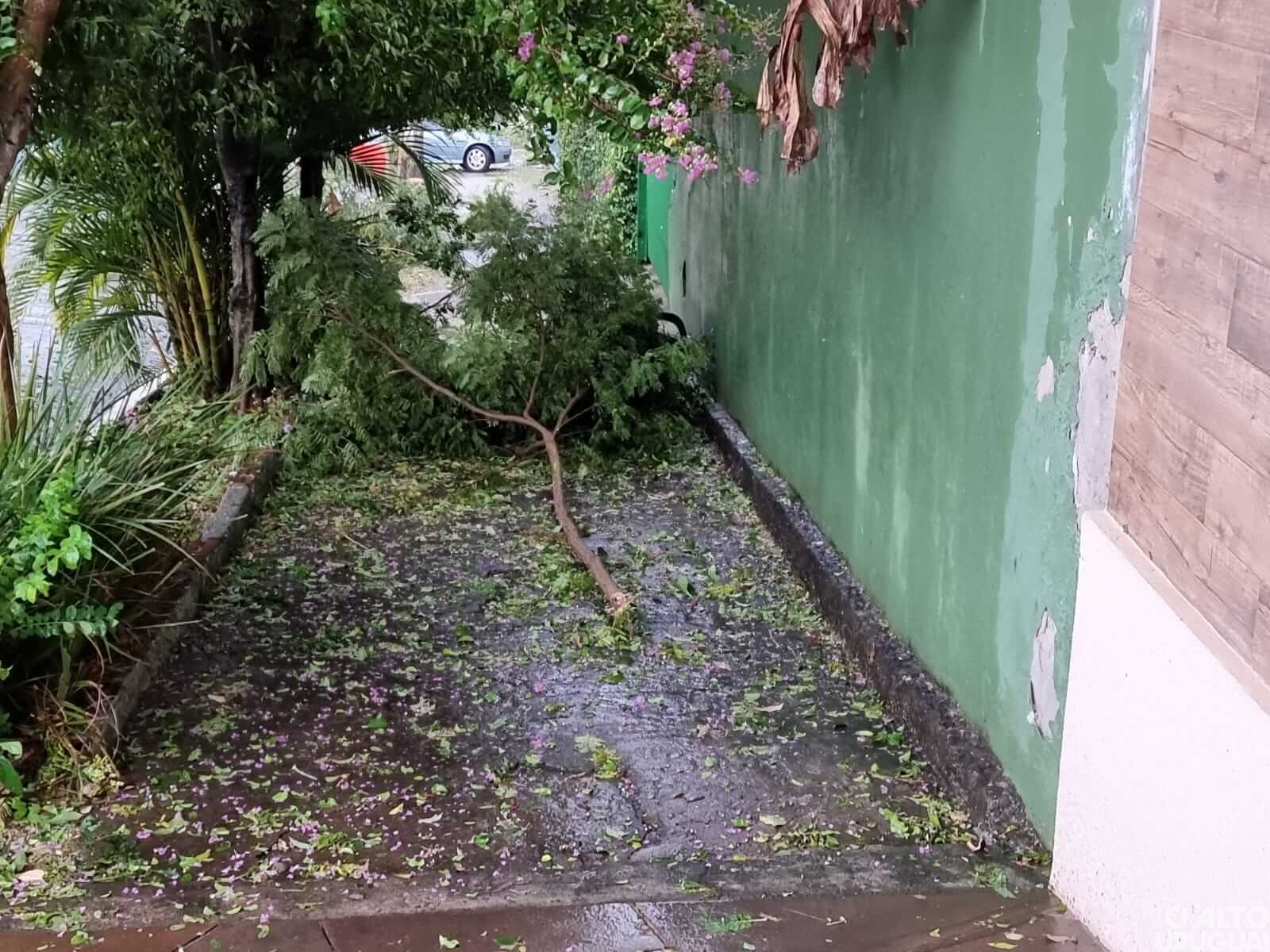 “Uma estiagem avassaladora, agora um temporal para levar o restante”