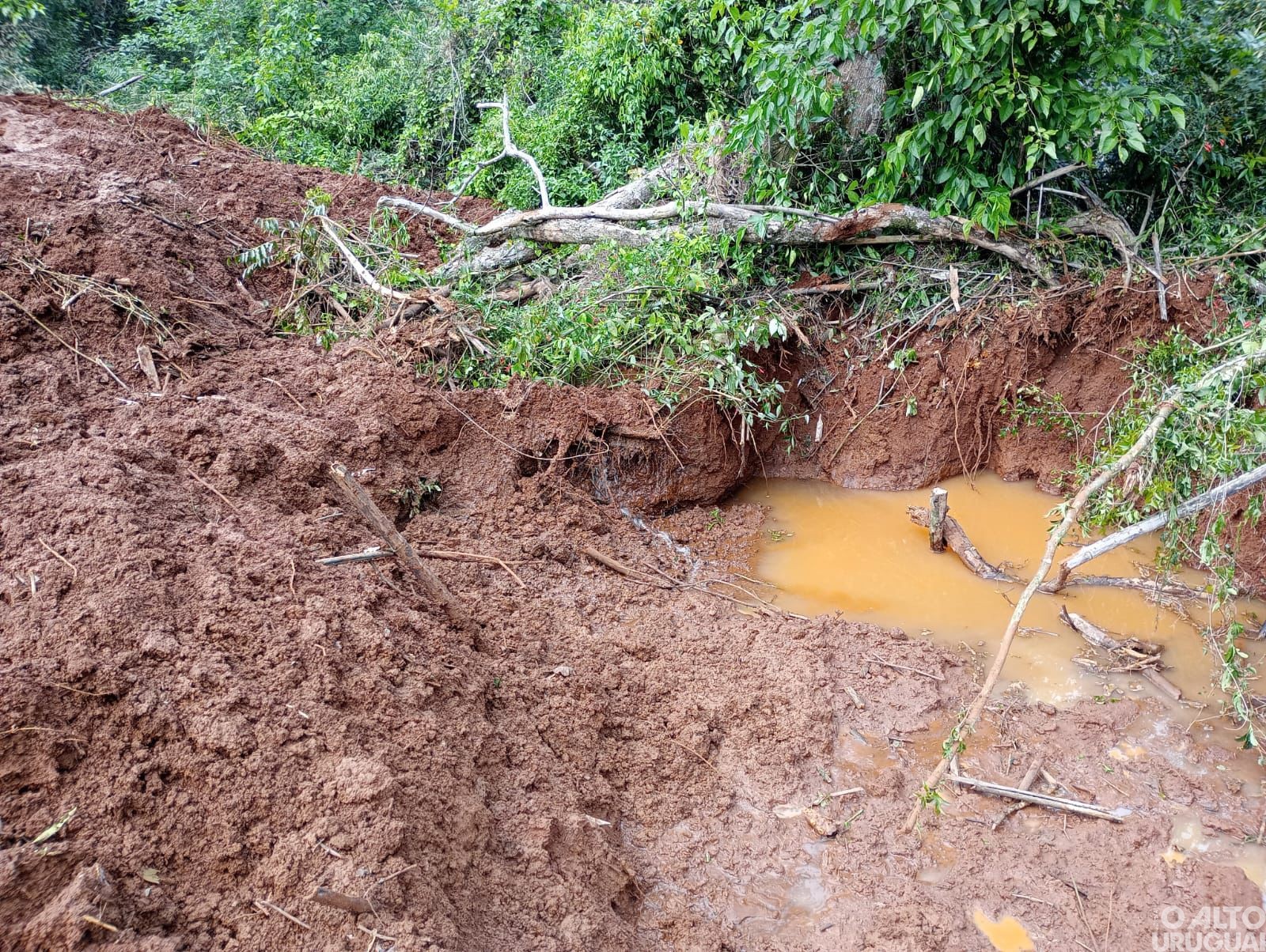 Erval Seco: flagrado desmatamento em Área de Preservação Permanente