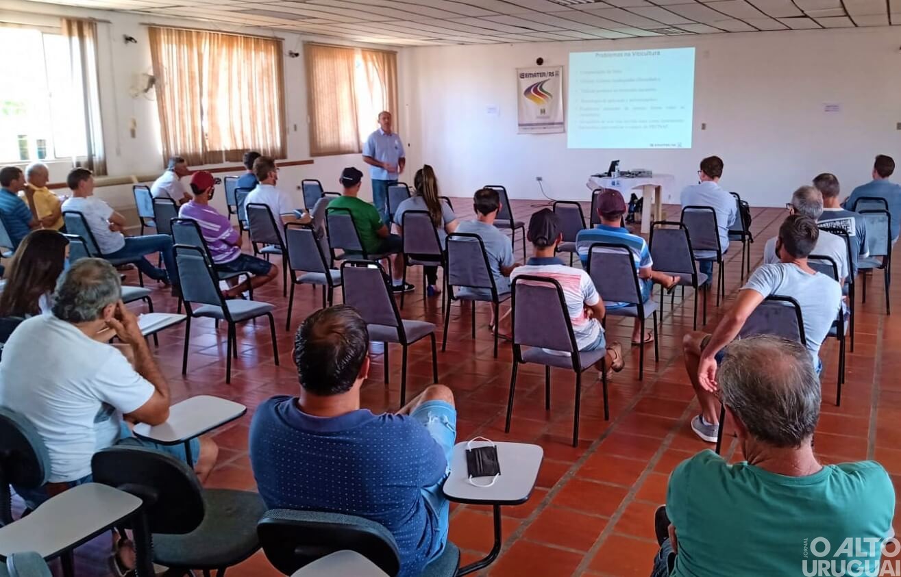 Atividade técnica em viticultura é realizada em Iraí