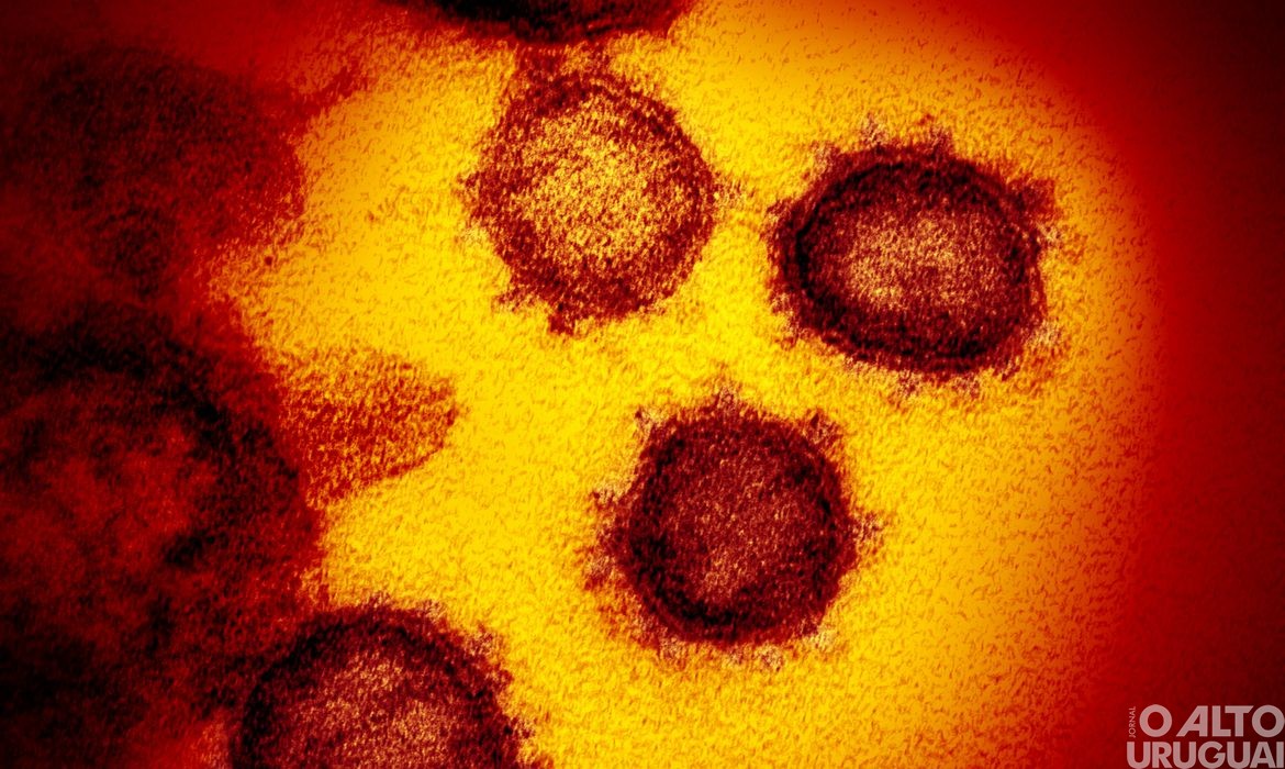 Duas novas linhagens da Covid-19 foram identificadas no Brasil