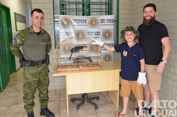 Menino de Seberi salva tucano ferido e inspira lição de inclusão
