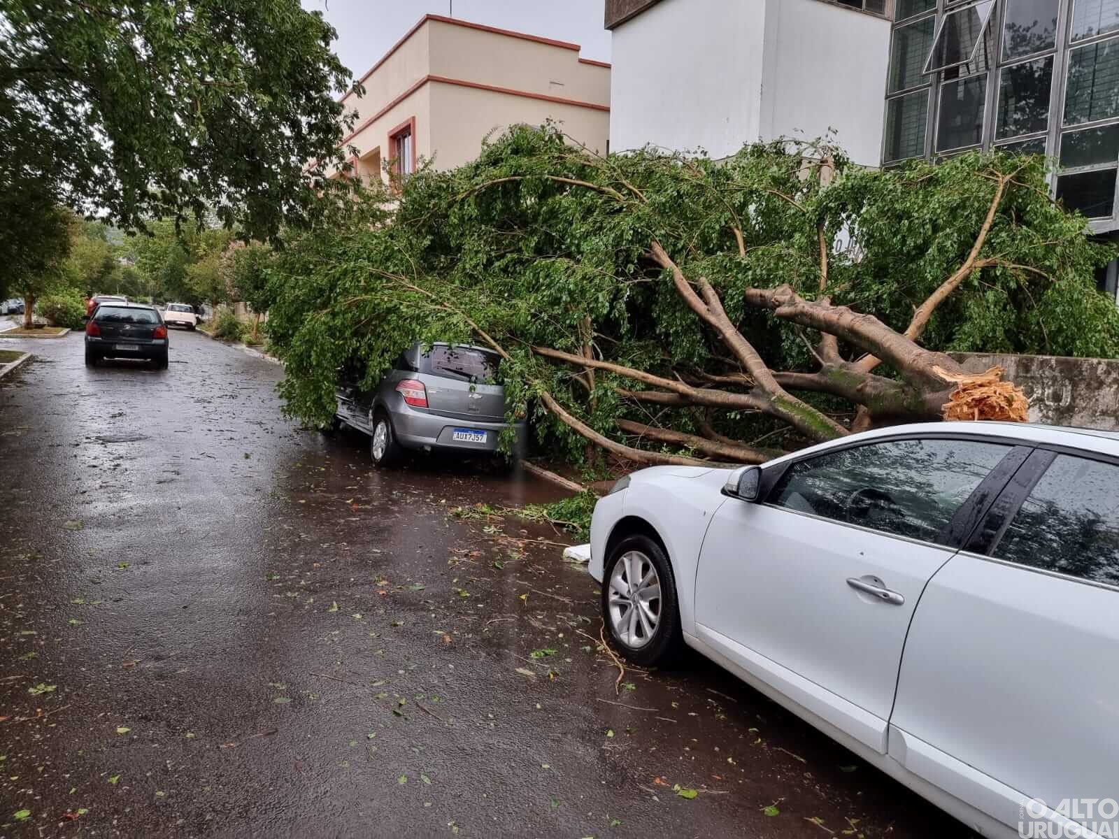“Uma estiagem avassaladora, agora um temporal para levar o restante”