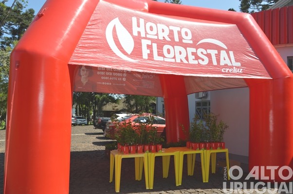 Evento realizado pela Creluz em Pinhal marca o Dia da Árvore