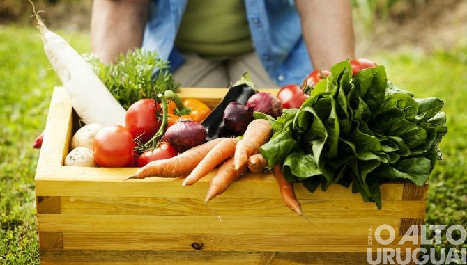 Produção e consumo de alimentos saudáveis serão debatidos em FW