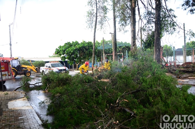 Vendaval causa estragos em Caiçara