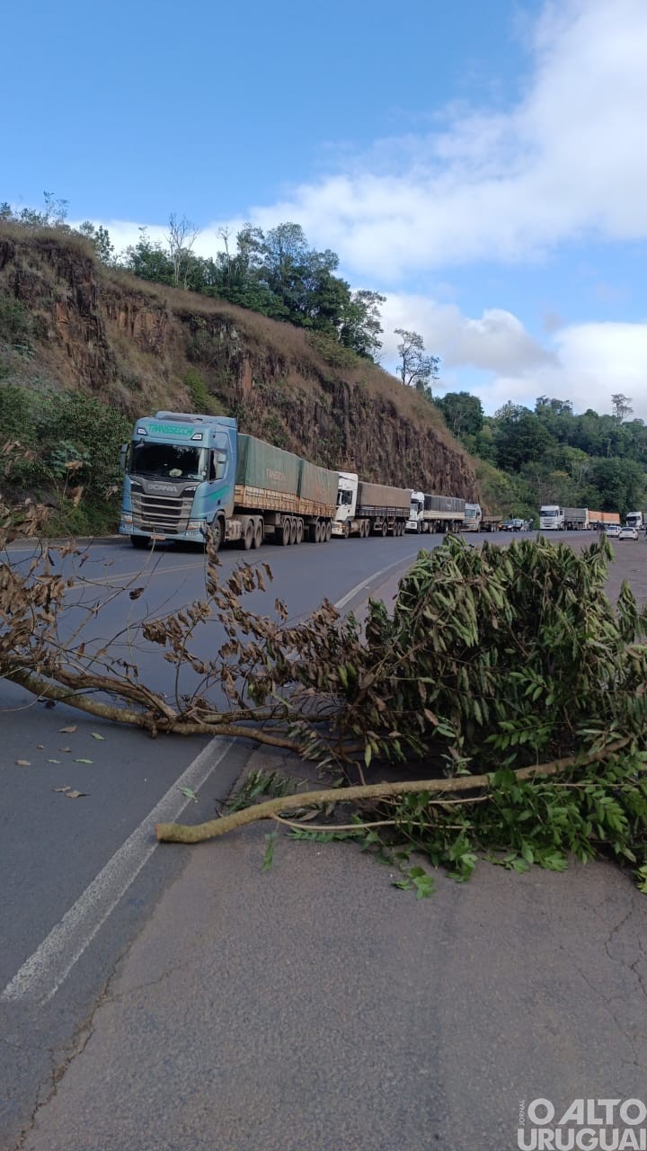 Indígenas bloqueiam rodovias na região