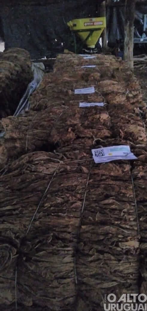 Entidades defendem que classificação do fumo seja feita nas propriedades