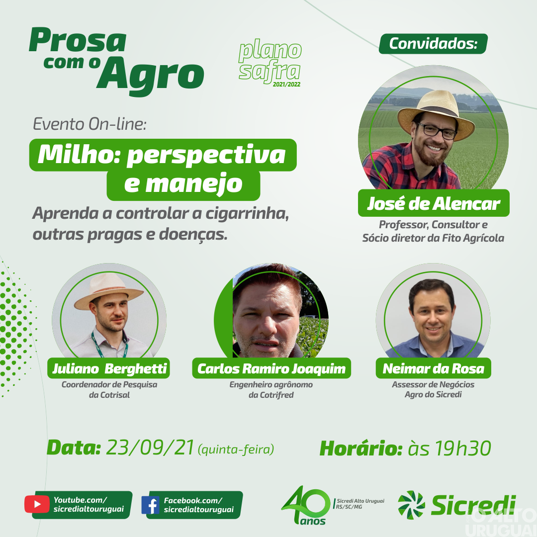 Cigarrinha do milho será pauta de live da Sicredi Alto Uruguai nesta quinta-feira