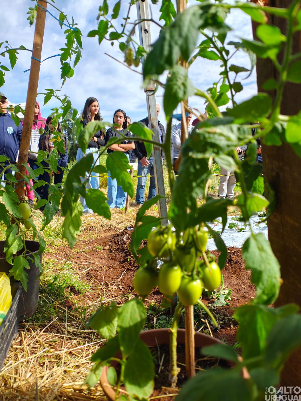 Realizada oficina técnico-pedagógica na CFR-FW