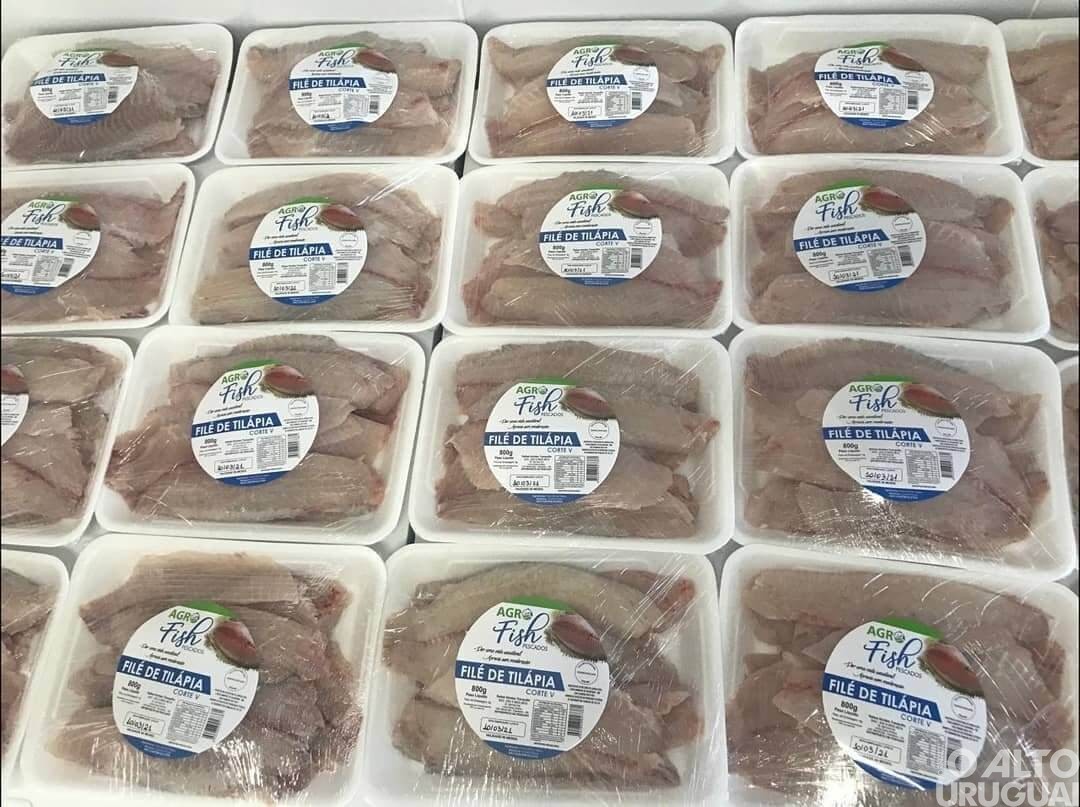 Palmitinho: adesão de agroindústria no Susaf é publicada no Ministério da Agricultura