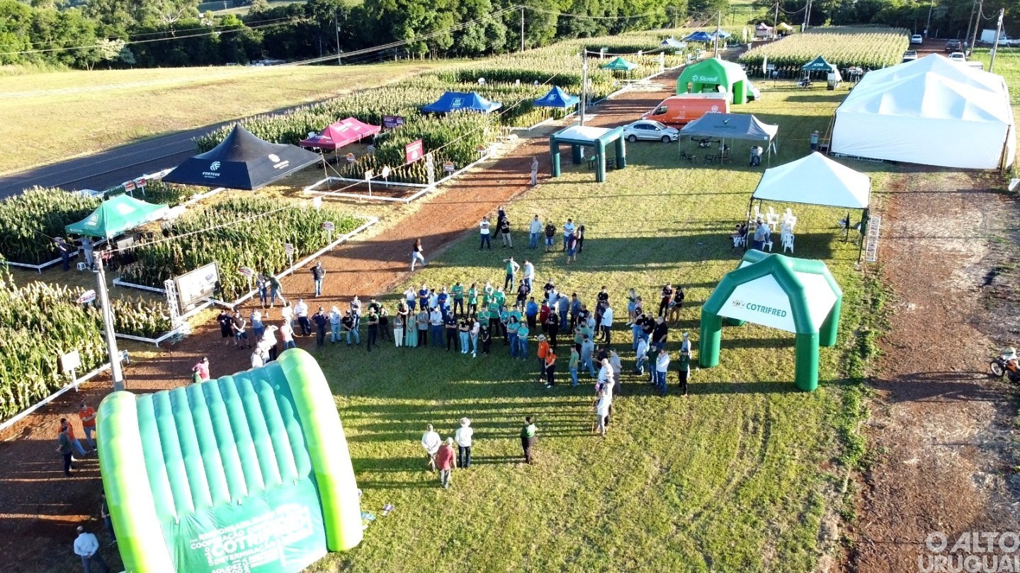 2ª Noite de Campo de Milho demonstra tecnologias para a produção do cereal