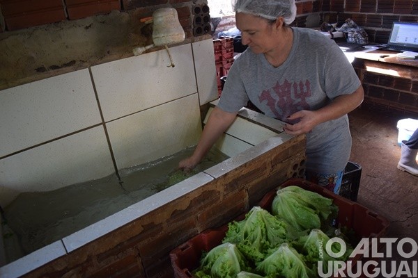 Feira Orgânica da UFSM/FW completa seis anos