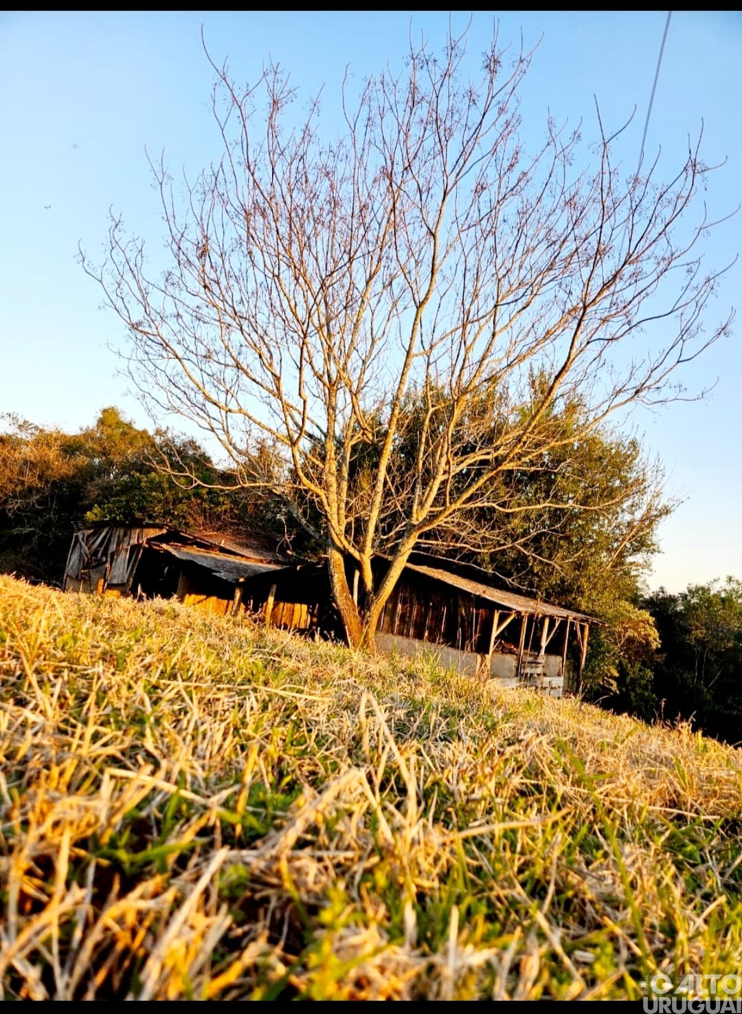Categoria ensino médio, EJA e livre é destaque no Concurso Fotográfico de Novo Tiradentes