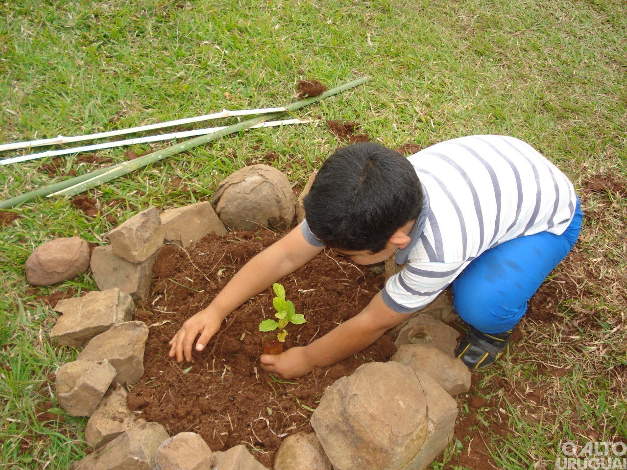 Pinheirinho do Vale terá programação na Semana do Meio Ambiente