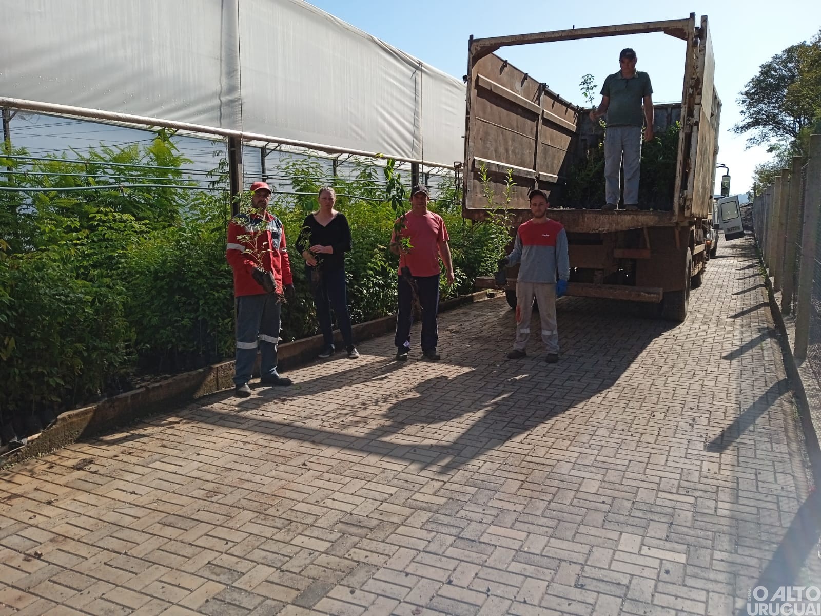 Pinheirinho do Vale terá programação na Semana do Meio Ambiente