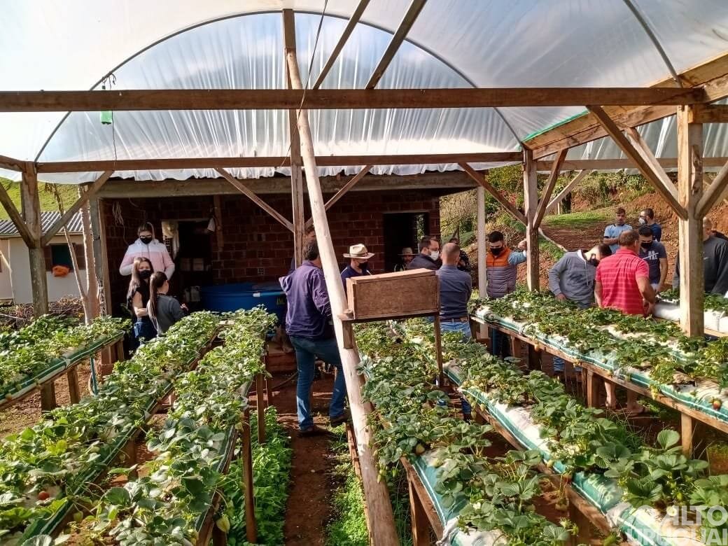 Dia de campo incentiva formação de agricultores