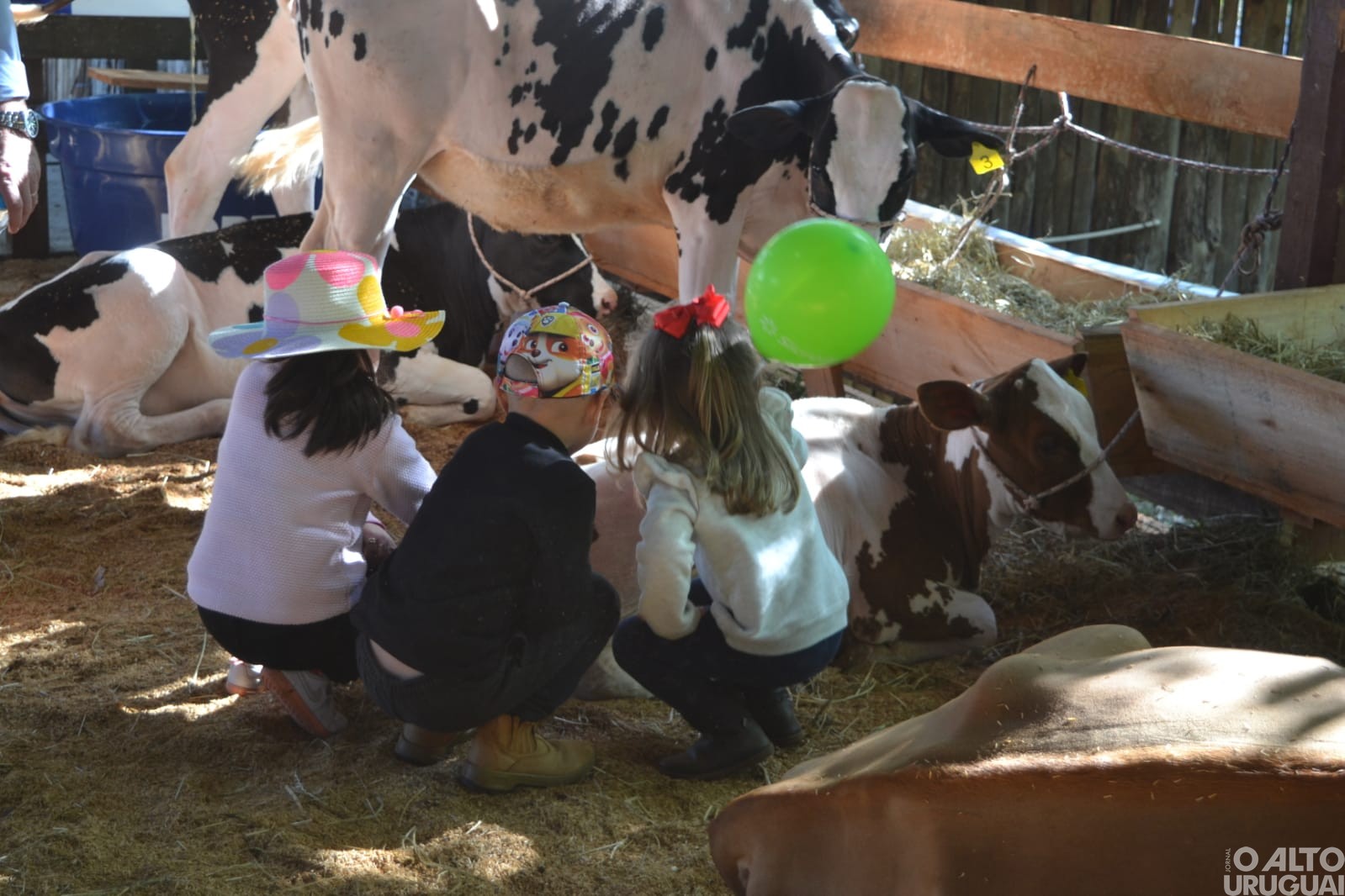 Boa Vista das Missões: Rodeio Crioulo reúne grande número de tradicionalistas